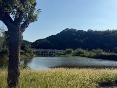 -东钱湖旅游度假区