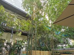 -时光花园(白鹭洲店)