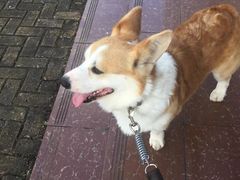 -杭州西湖银泰百货