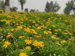 -汉长安城未央宫国家考古遗址公园