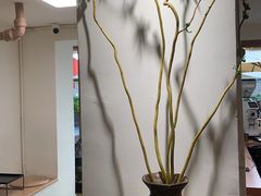 -本無咖啡·BeanWood Coffee