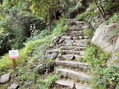 -北京鹫峰国家森林公园