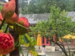 -宫事颐庭·老佛爷贵寿下午茶(颐和园店)