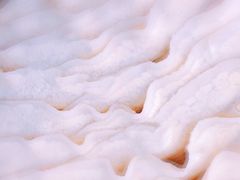 极品白肉砂锅-砂锅居(西四店)