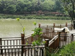 -成都工业学院(郫都校区)