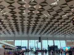 -郑州新郑国际机场-T2航站楼