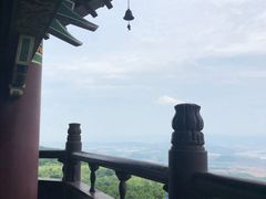 -铁山坪森林公园