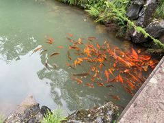 -灵栖洞天