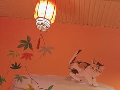 -王老六铁锅炖鱼(翠微店)