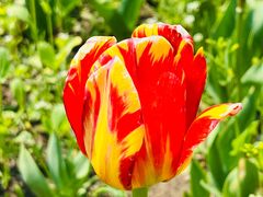 -长春公园(普阳街道)