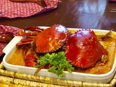 -茉莉.Red Crab