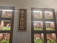 -菌自由丨野生菌火锅特色庭院餐厅(丽江古城店)