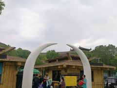 -热带风暴水上乐园