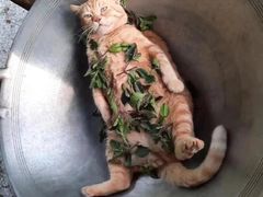 -弄堂里(阿里西溪A区店)