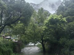 -雁荡山大龙湫景区