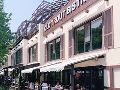 -Local泰莲庭(虹鳟鱼店)