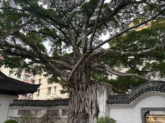 -墨池公园