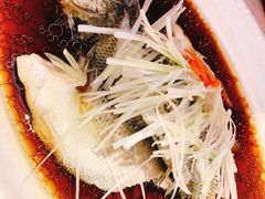 -金龙渔港(双楠店)