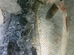 -渔满仓海鲜楼