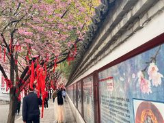 -西安青龙寺遗址景区