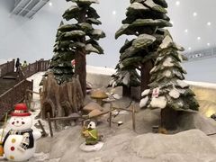 -哈尔滨热雪奇迹