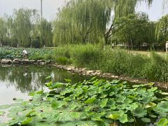 -南翠屏公园