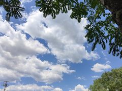 -草根堂农场