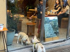 门面-LINLEE林里·手打柠檬茶(黄浦茂名南路店)