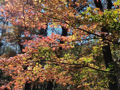 -玉渡山自然风景区