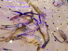 -澜悦港海鲜体验主题餐厅