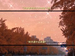 -三里屯东五街银杏大道