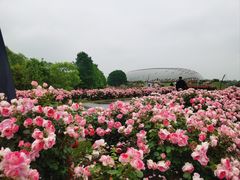 -上海辰山植物园