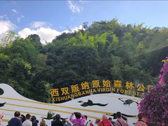 -西双版纳原始森林公园