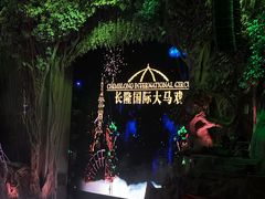 -广州长隆国际大马戏