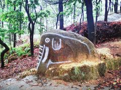 -云溪植物园