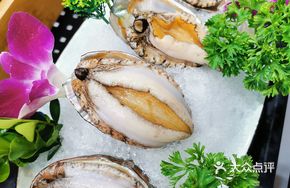 Fresh Tender Abalone
