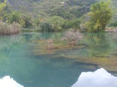 -靖西鹅泉风景区