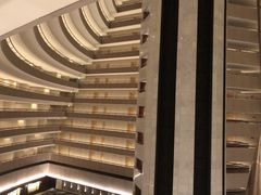 -新加坡文华东方酒店