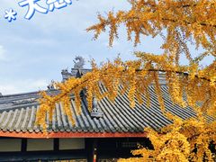 -古大圣慈寺