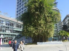 -大埔公路-马料水段香港中文大学(公交站)