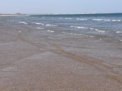 -日照海滨国家森林公园