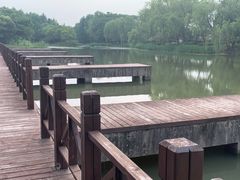 -尚贤河湿地