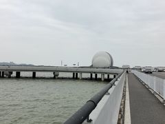 -野狸岛