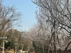 -北京凤凰岭