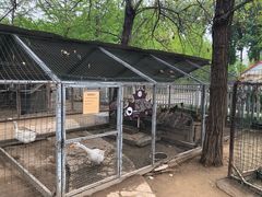 -意大利农场度假村