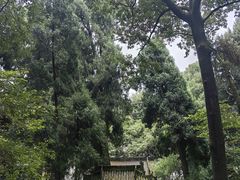 -武侯墓风景区