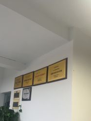 -HD HAIR STYLE
