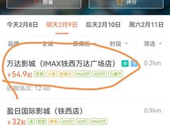 -万达影城(IMAX激光铁西万达广场店)