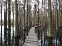 -渌洋湖湿地公园
