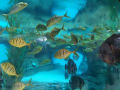 -波塞冬旅游度假区